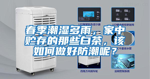 春季潮濕多雨，家中貯存的那些白茶，該如何做好防潮呢？
