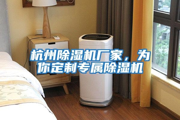 杭州除濕機廠家，為你定制專屬除濕機