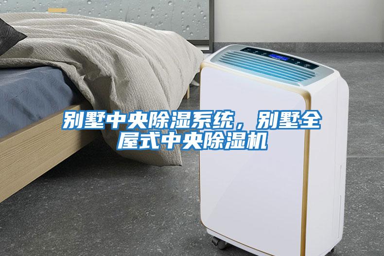 別墅中央除濕系統(tǒng)，別墅全屋式中央除濕機(jī)