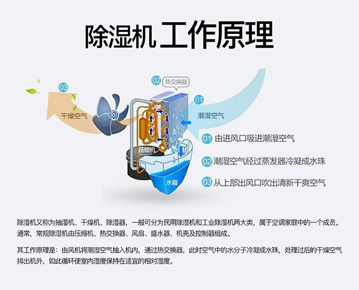 旱澇急轉更明顯，除濕機顯身手