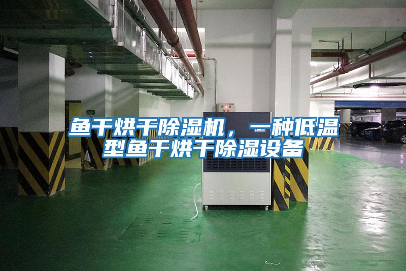 魚干烘干除濕機，一種低溫型魚干烘干除濕設備
