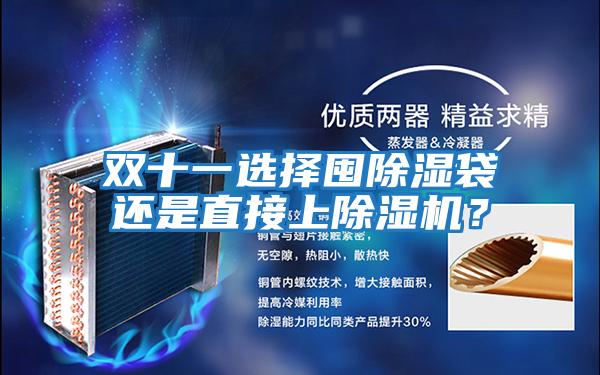雙十一選擇囤除濕袋還是直接上除濕機(jī)？