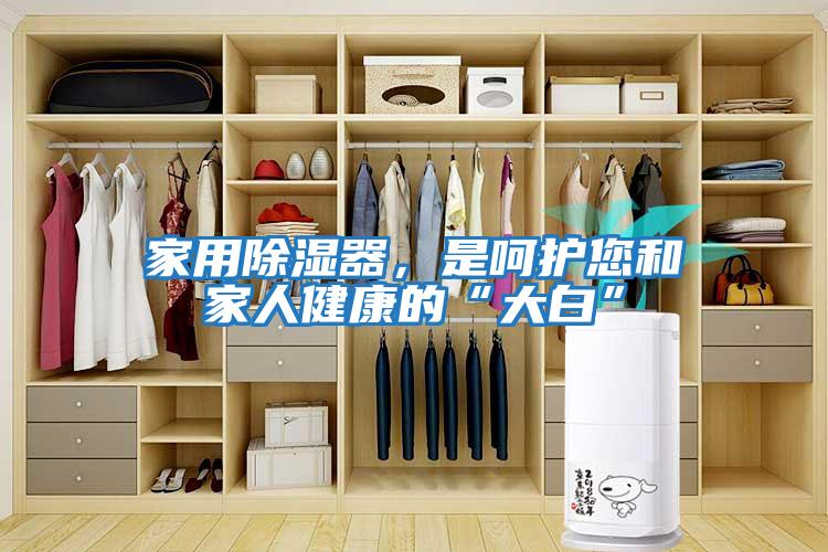家用除濕器，是呵護您和家人健康的“大白”
