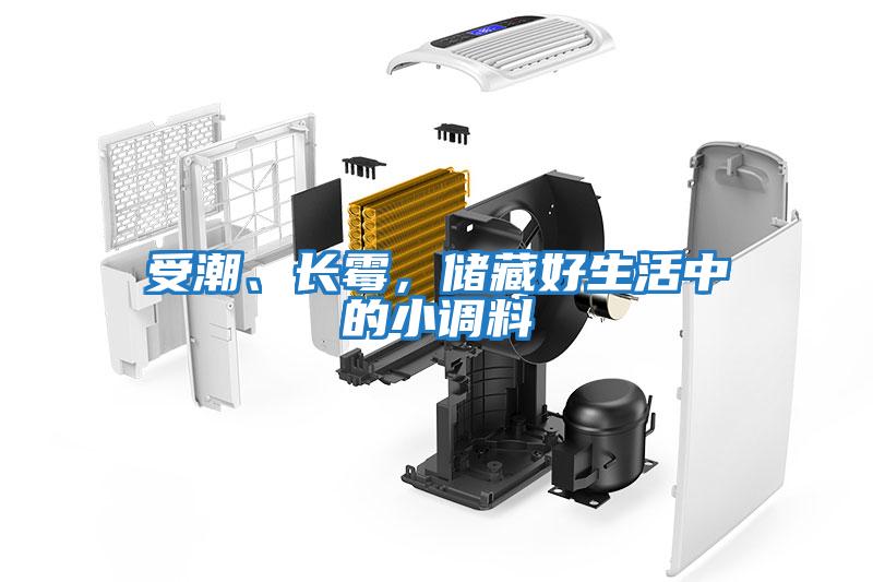 受潮、長霉，儲藏好生活中的小調(diào)料
