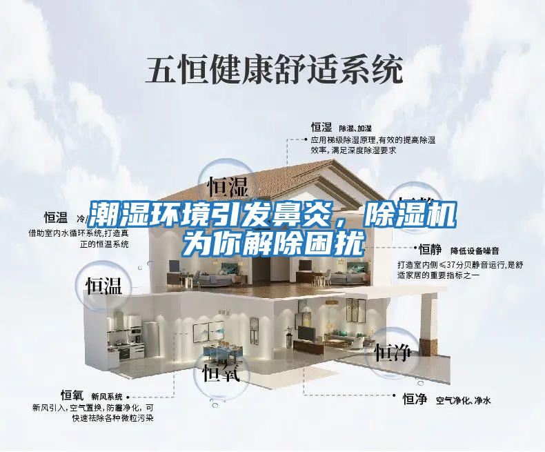 潮濕環境引發鼻炎，除濕機為你解除困擾