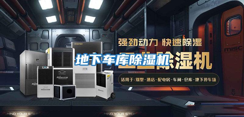 地下車庫(kù)除濕機(jī)