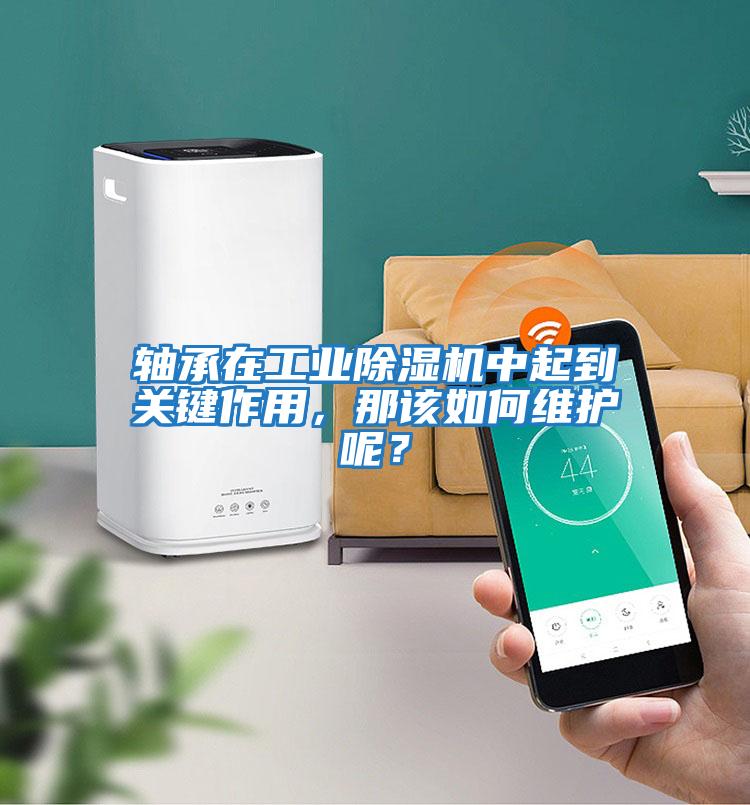 軸承在工業除濕機中起到關鍵作用，那該如何維護呢？