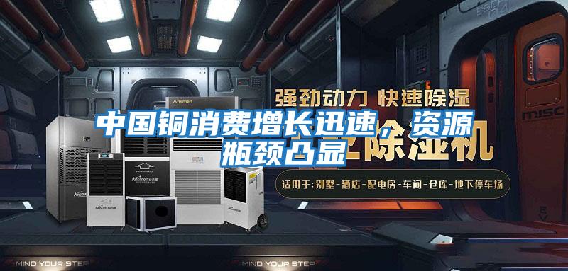 中國銅消費增長迅速，資源瓶頸凸顯