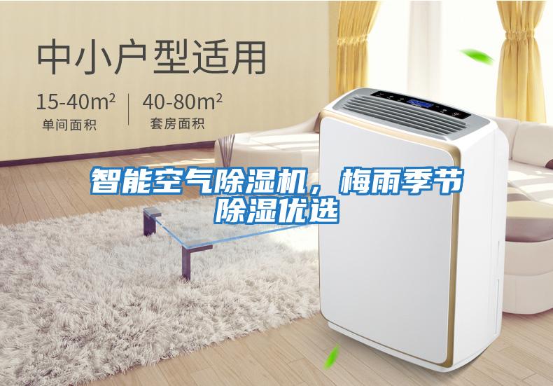 智能空氣除濕機，梅雨季節除濕優選