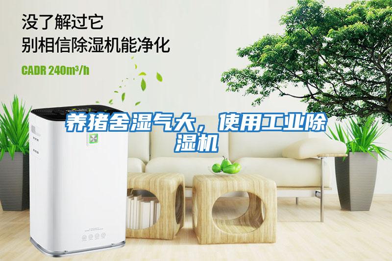 養(yǎng)豬舍濕氣大，使用工業(yè)除濕機