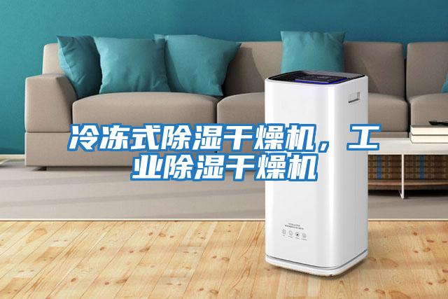 冷凍式除濕干燥機，工業除濕干燥機