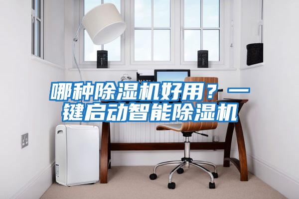 哪種除濕機好用？一鍵啟動智能除濕機