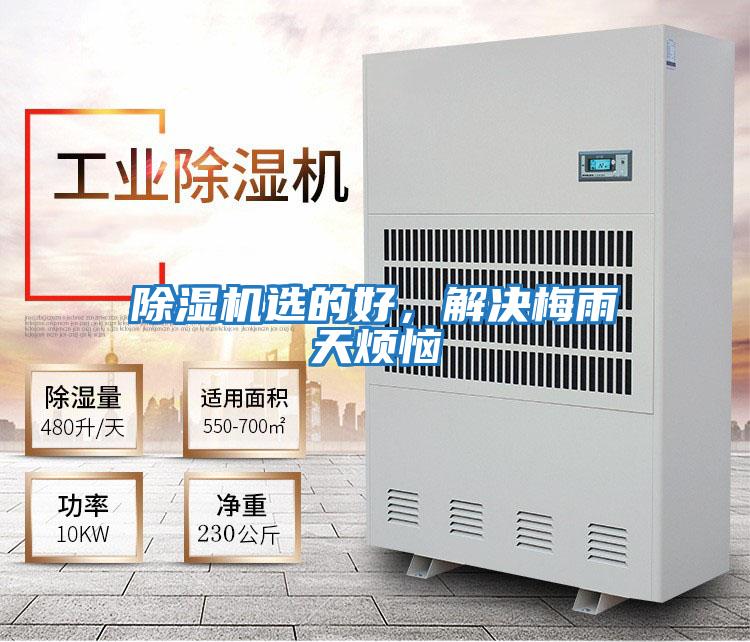 除濕機選的好，解決梅雨天煩惱