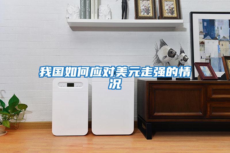 我國如何應(yīng)對美元走強(qiáng)的情況