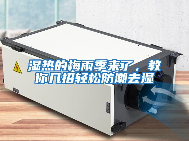 濕熱的梅雨季來(lái)了，教你幾招輕松防潮去濕