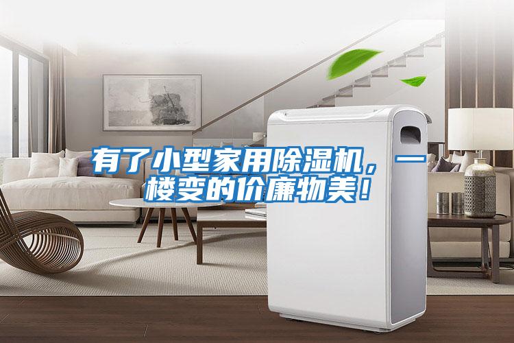有了小型家用除濕機(jī)，一樓變的價(jià)廉物美！