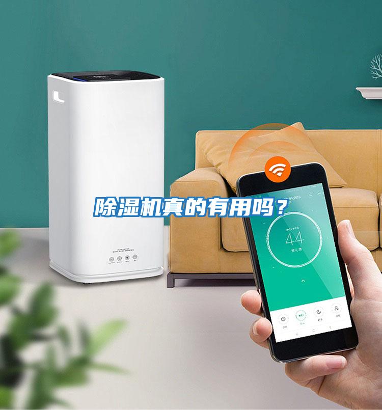 除濕機真的有用嗎？