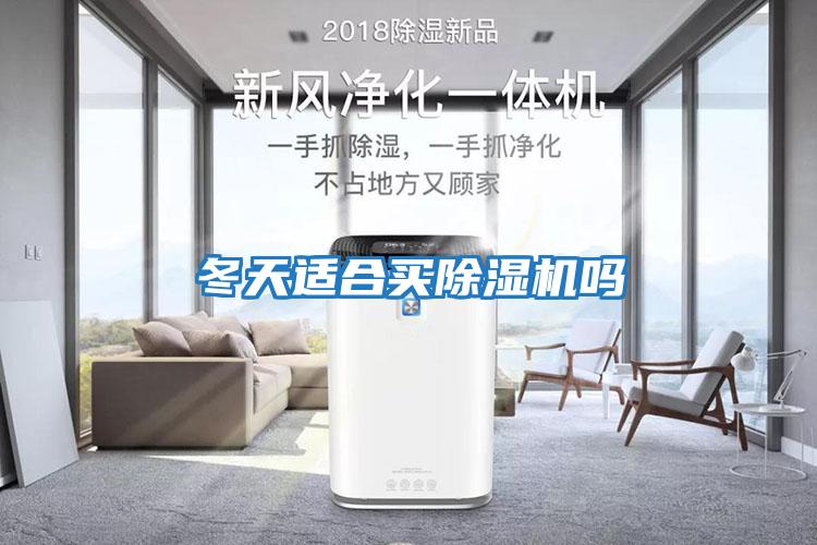 冬天適合買(mǎi)除濕機(jī)嗎