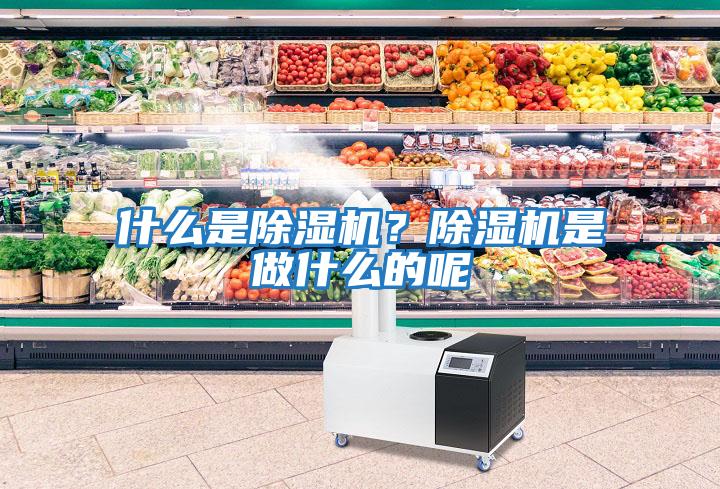 什么是除濕機(jī)?除濕機(jī)是做什么的呢