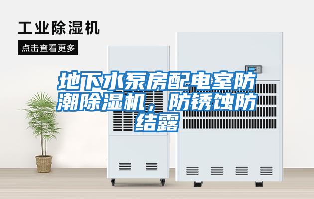 地下水泵房配電室防潮除濕機，防銹蝕防結露