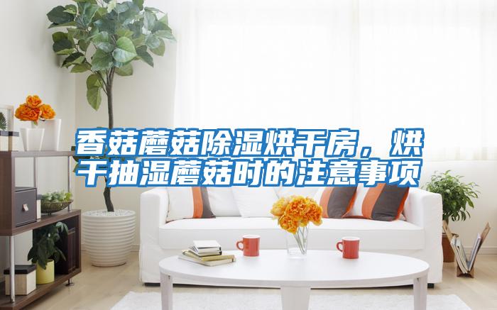 香菇蘑菇除濕烘干房，烘干抽濕蘑菇時的注意事項