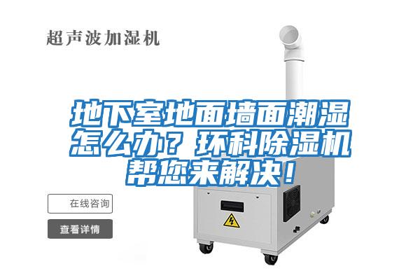 地下室地面墻面潮濕怎么辦？環(huán)科除濕機幫您來解決！