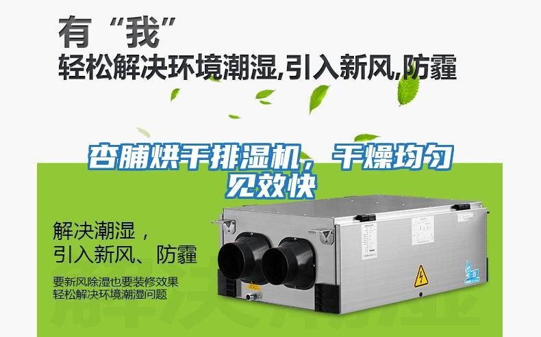 杏脯烘干排濕機，干燥均勻見效快