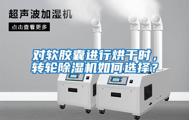 對軟膠囊進行烘干時，轉輪除濕機如何選擇？