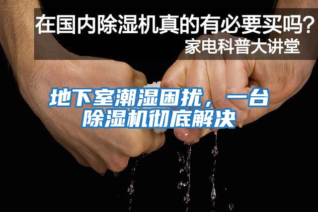 地下室潮濕困擾，一臺除濕機徹底解決