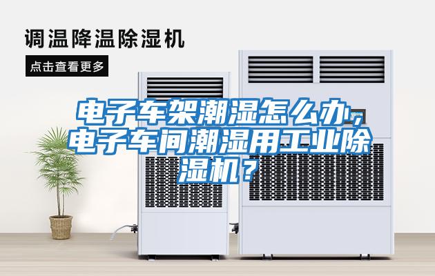 電子車架潮濕怎么辦，電子車間潮濕用工業除濕機？