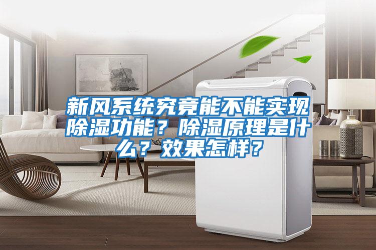 新風(fēng)系統(tǒng)究竟能不能實現(xiàn)除濕功能？除濕原理是什么？效果怎樣？