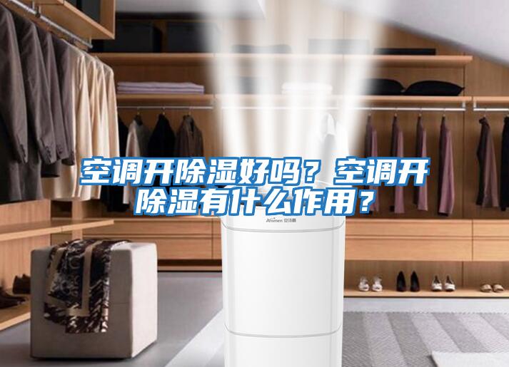 空調(diào)開(kāi)除濕好嗎？空調(diào)開(kāi)除濕有什么作用？