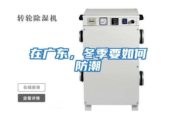 在廣東，冬季要如何防潮