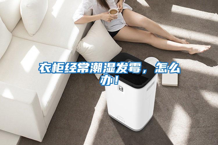 衣柜經常潮濕發霉，怎么辦！