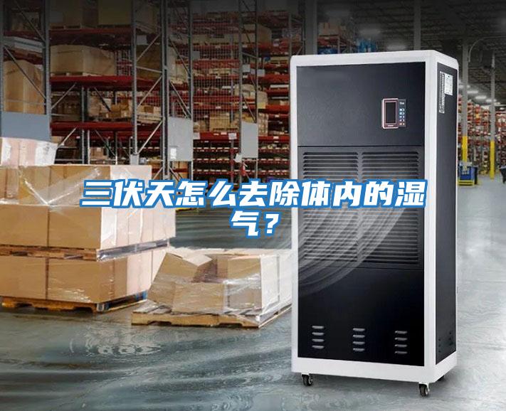 三伏天怎么去除體內的濕氣？