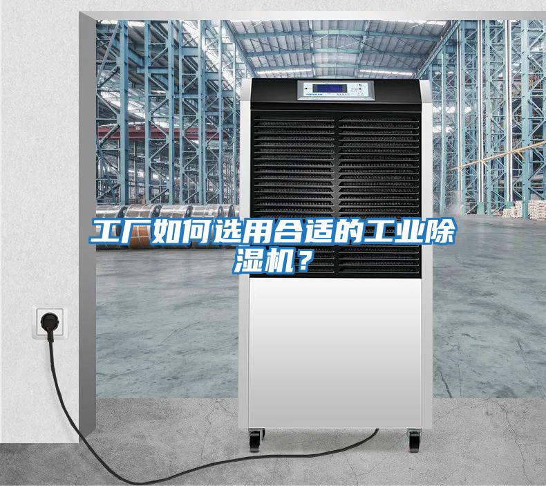 工廠如何選用合適的工業除濕機？
