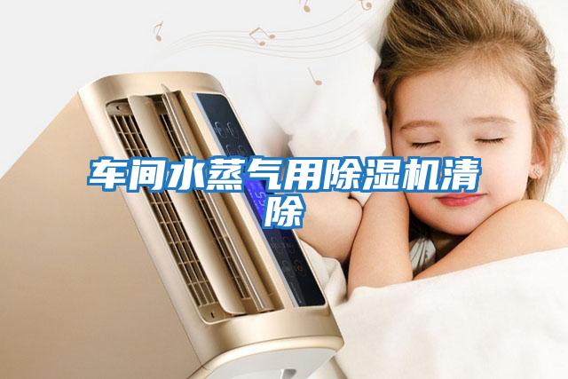 車(chē)間水蒸氣用除濕機(jī)清除