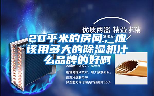 20平米的房間，應該用多大的除濕機什么品牌的好啊