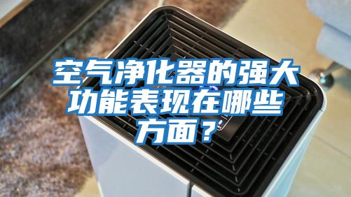 空氣凈化器的強大功能表現在哪些方面？