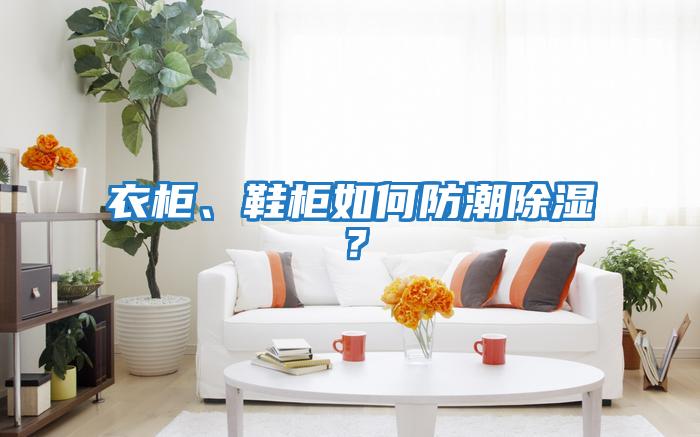 衣柜、鞋柜如何防潮除濕？