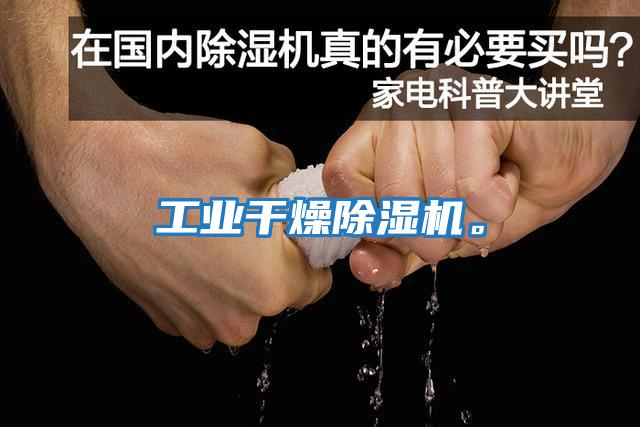工業(yè)干燥除濕機。