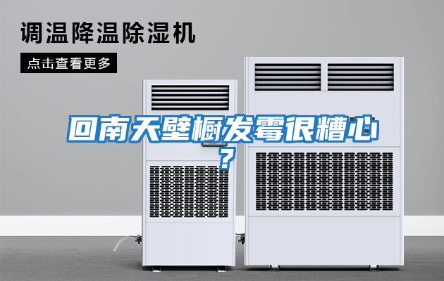回南天壁櫥發霉很糟心？