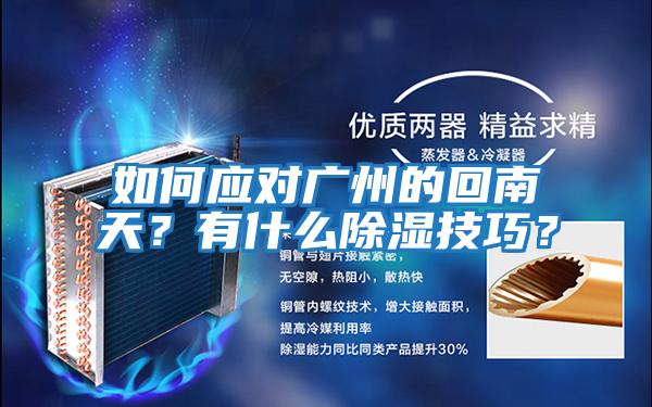 如何應對廣州的回南天？有什么除濕技巧？