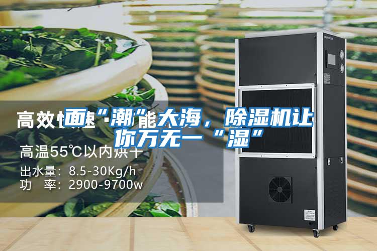 面“潮”大海，除濕機讓你萬無一“濕”
