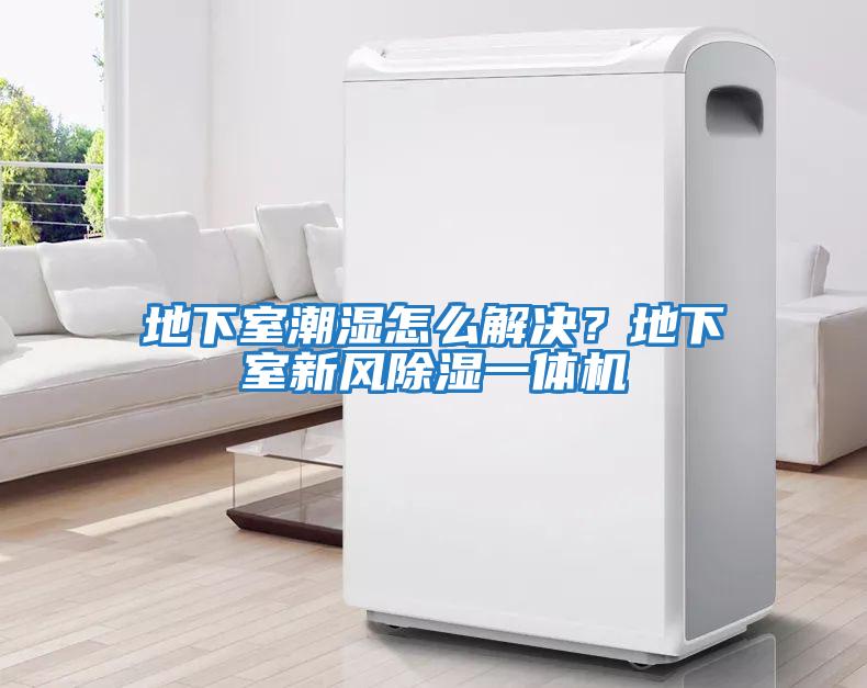 地下室潮濕怎么解決？地下室新風(fēng)除濕一體機(jī)