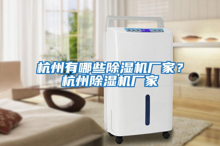 杭州有哪些除濕機廠家？杭州除濕機廠家