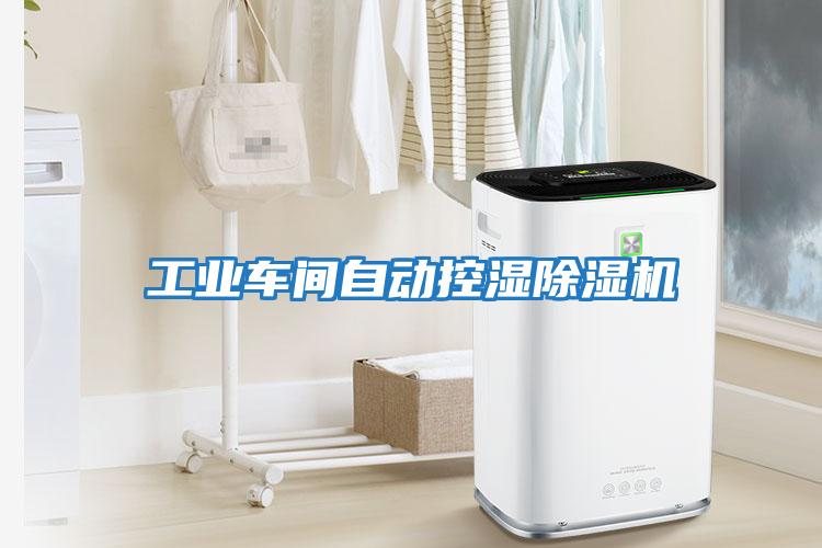 工業(yè)車間自動控濕除濕機