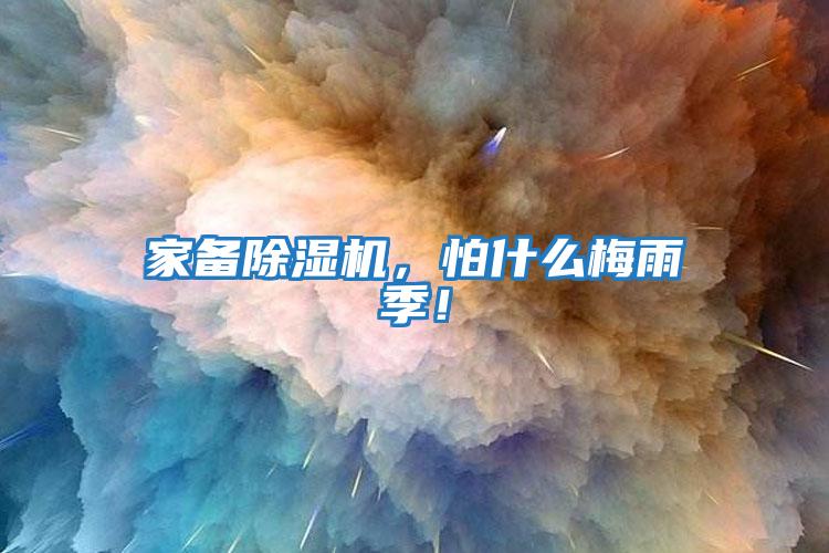 家備除濕機，怕什么梅雨季！