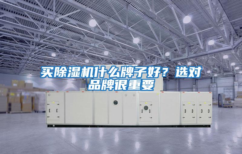 買(mǎi)除濕機(jī)什么牌子好？選對(duì)品牌很重要