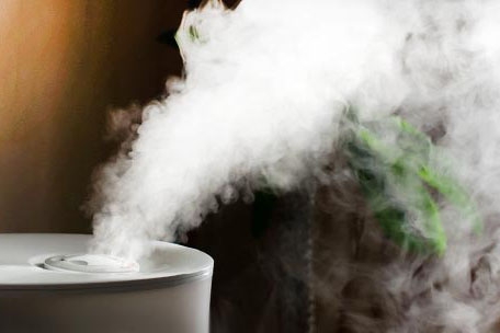 對抗梅雨季節潮濕，家用除濕機為您解決煩惱！